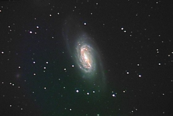 Image: NGC2903 Galaxy by Patric Knoll - 2004